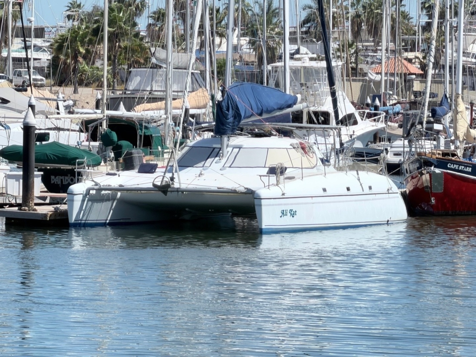 2002 Wildcat MKIII — photo 1