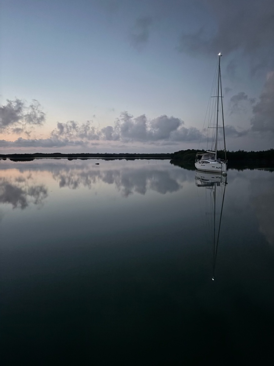 2015 Jeanneau 41 DS — photo 1