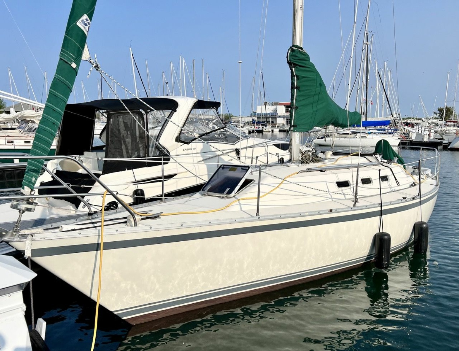 1984 CS 33 — photo 1