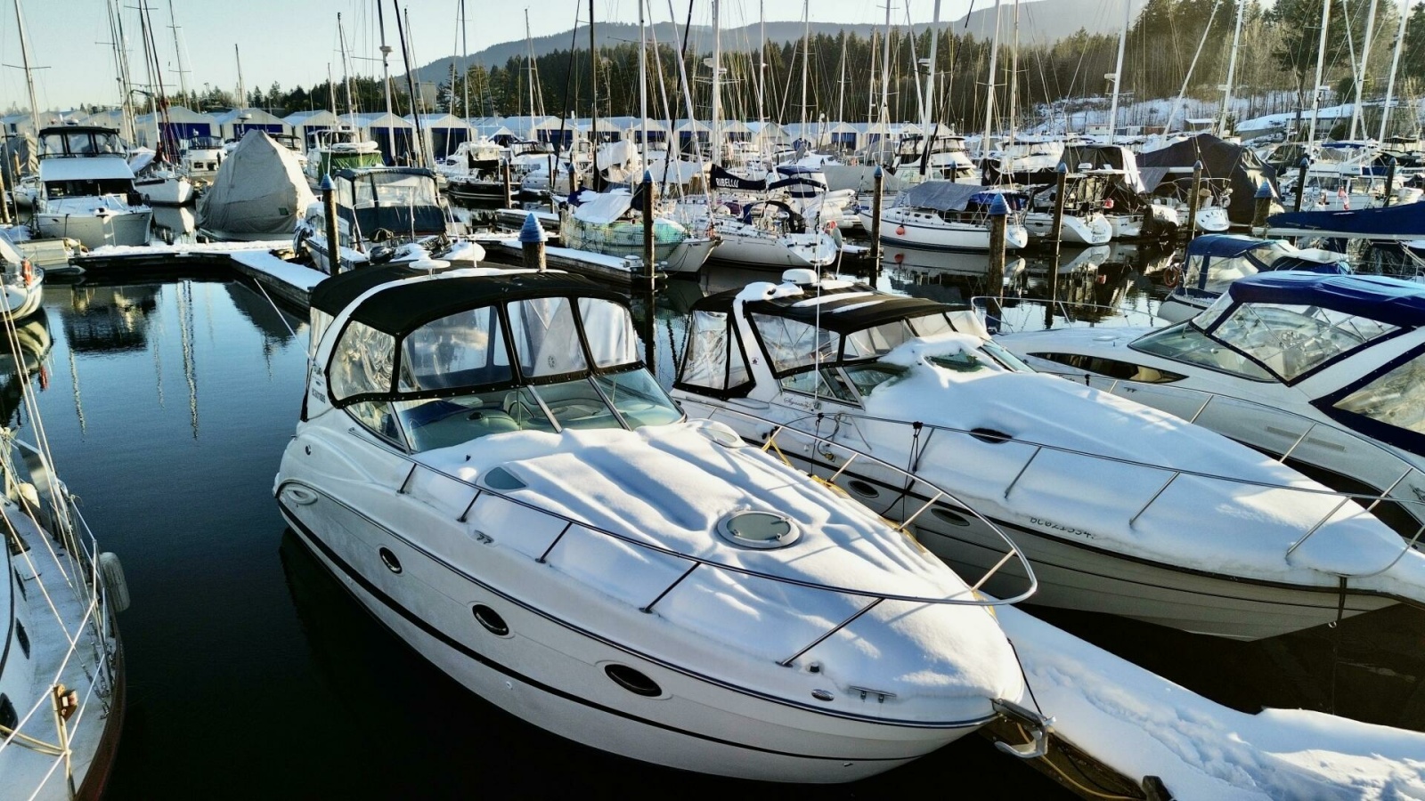2006 Maxum 3100 SE — photo 1